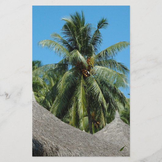 ココナッツヤシ チラシ (正面)