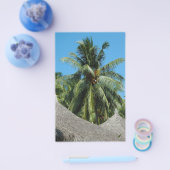 ココナッツヤシ チラシ (シングル)