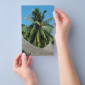 ココナッツヤシ チラシ (ハンドル)