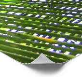 ココナッツヤシ ポスター (角)