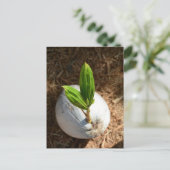 ココナッツヤシ ポストカード (スタンド正面)