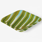 ココナッツリーフ紙プレート ペーパープレート (傾斜あり)