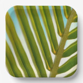 ココナッツリーフ紙プレート ペーパープレート (正面)