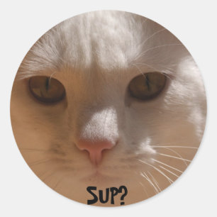 ココナッツ猫--一口か。 ラウンドシール