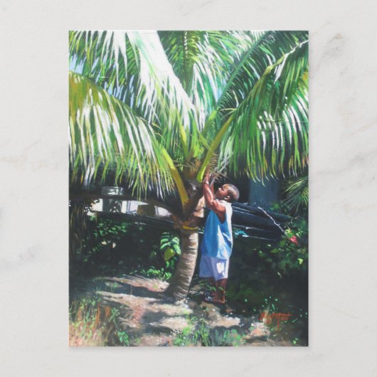 ココナッツ陰2014年 ポストカード (正面)