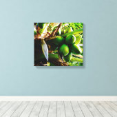 ココナッツ～キャンバスアート～トリニダード キャンバスプリント (インサイチュ (ウッドフロア))