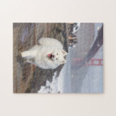 ココナッツ – ゴールデンゲートブリッジ ジグソーパズル (横)