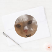 ココナッツ・ザ・キャット – -SUP? ラウンドシール (封筒)