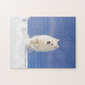 ココナッツ - スノーベア ジグソーパズル (横)