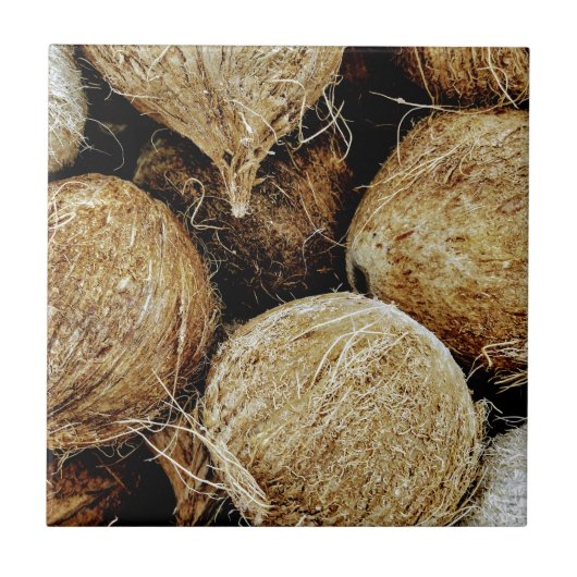 ココナッツ タイル (正面)