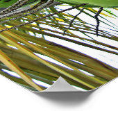 ココナッツ ポスター (角)