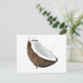 ココナッツ ポストカード (スタンド正面)