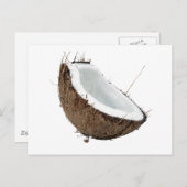 ココナッツ ポストカード (正面/裏面)