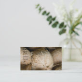 ココナッツ 名刺 (スタンド正面)