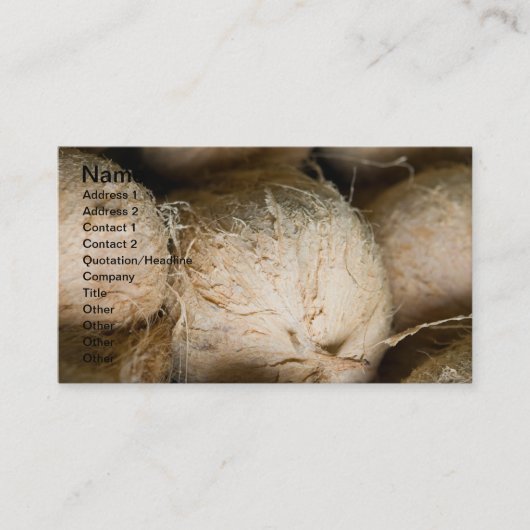 ココナッツ 名刺 (正面)