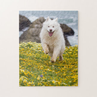 ココナッツ – 花 ジグソーパズル