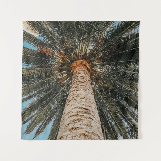 ココナツの木の虫の目から見る景色 タペストリー (正面)