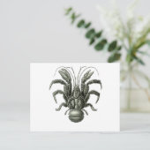 ココナツガニ ポストカード (スタンド正面)