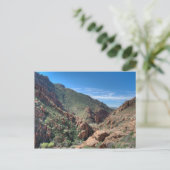 ココナノ国有林 ポストカード (スタンド正面)