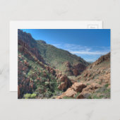 ココナノ国有林 ポストカード (正面/裏面)