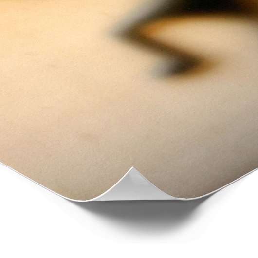 ココペリの神 ポスター (角)