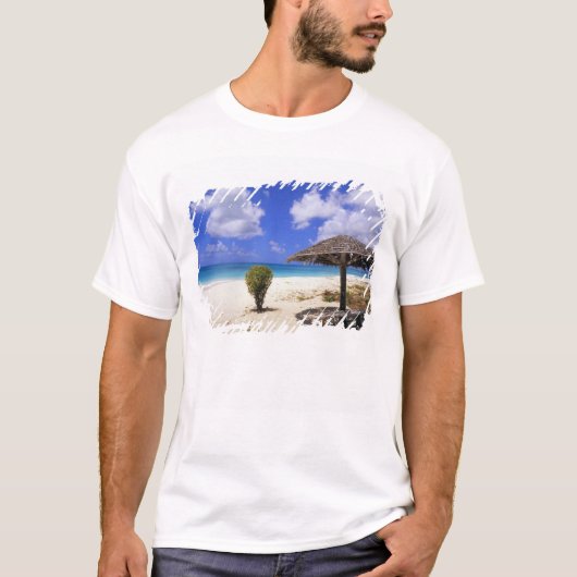 ココポイントビーチ バルバーダ アンティグア Tシャツ (正面)
