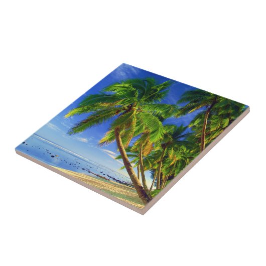 ココヤシの木の木のサンディの熱帯島のビーチ タイル (側面)