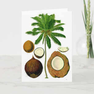 ココヤシの木の植物のイラストレーション カード