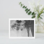 ココヤシの木-ハワイ諸島の写真 ポストカード (スタンド正面)