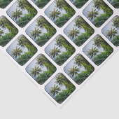 ココヤシの木 薄葉紙 (詳細)