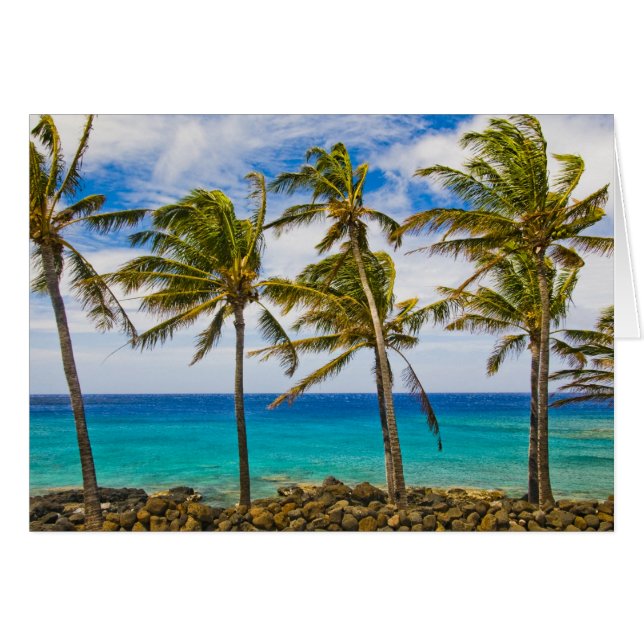 ココヤシ（Cocos nucifera）が揺れている (正面横)