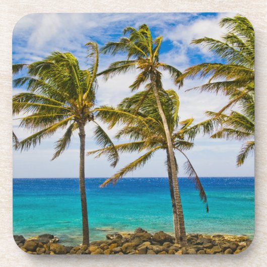ココヤシ(Cocos nucifera)が揺れている コースター (正面)