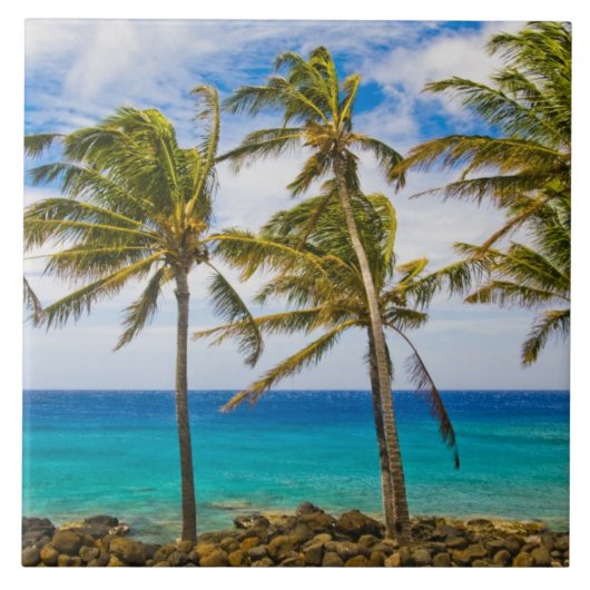 ココヤシ（Cocos nucifera）が揺れている タイル (正面)