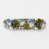 ココヤシ（Cocos nucifera）の木が スケートボード (横)