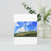 ココラ渓谷のコロンビアワックスパームの木 ポストカード (スタンド正面)