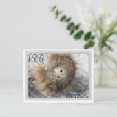 ココロコナット ポストカード (スタンド正面)