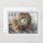 ココロコナット ポストカード (正面/裏面)