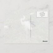 コサギの求愛ダンス ポストカード (裏面)