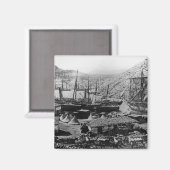 コサック湾，クリミア， c.1855 マグネット (正面/裏面)