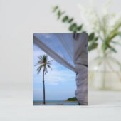 コサムイ ポストカード (スタンド正面)