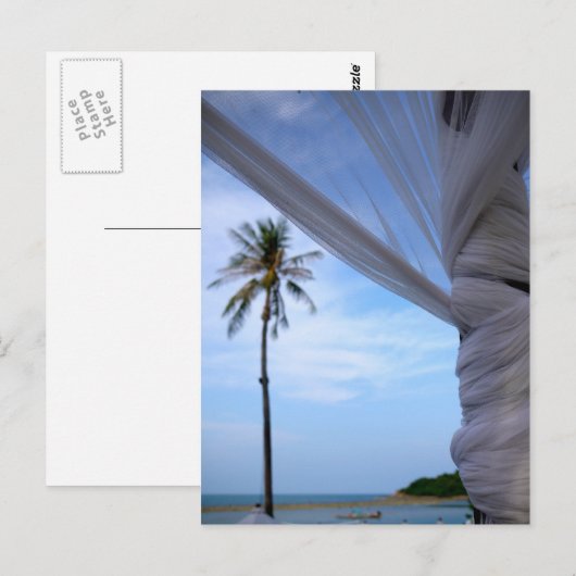 コサムイ ポストカード (正面/裏面)