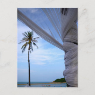 コサムイ ポストカード