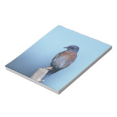 コザクラインコ ノートパッド (回転)