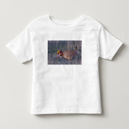 コシャクシギチドリ Tympanuchus トドラーTシャツ (正面)