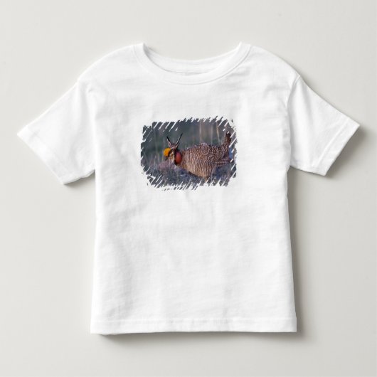 コシャクシギ トドラーTシャツ (正面)