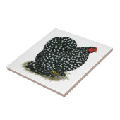 コシャンは雌鶏をまだらにしました タイル (側面)