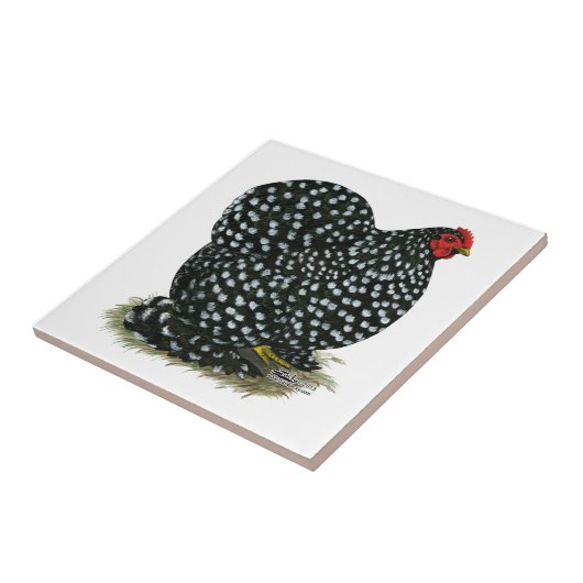 コシャンは雌鶏をまだらにしました タイル (側面)