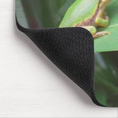 コショウのアマガエル マウスパッド (コーナー)