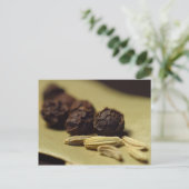 コショウの実 ポストカード (スタンド正面)