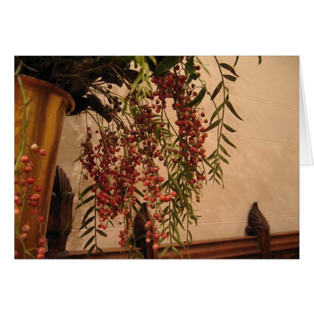 コショウの果実 (正面横)